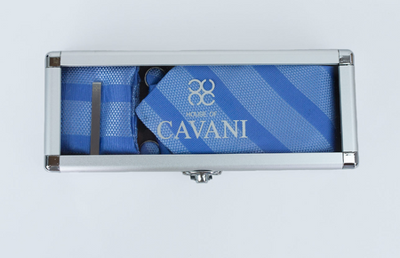 House of Cavani- CV107 Light Blue Tie, Pocket Square, Cufflinks and Tie Pin Set