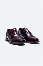 House of Cavani- Clark Wine Brogue Shoes