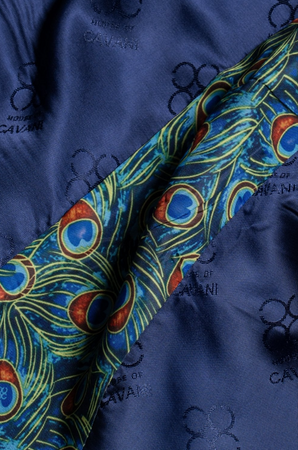 House of Cavani- Phantom Blue Blazer
