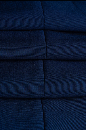 House of Cavani- Ford Blue Trouser