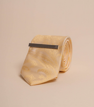 House of Cavani- CV818 Yellow Paisley Tie And Pin Set