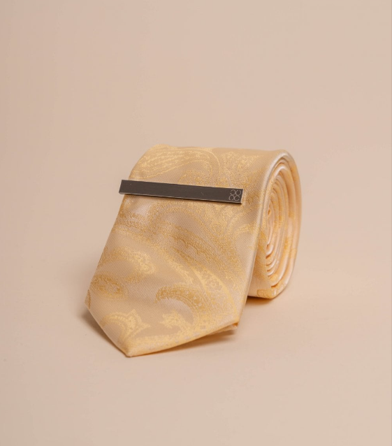 House of Cavani- CV818 Yellow Paisley Tie And Pin Set