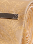 House of Cavani- CV818 Yellow Paisley Tie And Pin Set