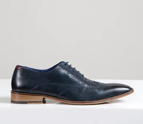 Marc Darcy- Carson Navy Blue Wingtip Oxford Brogue Shoe