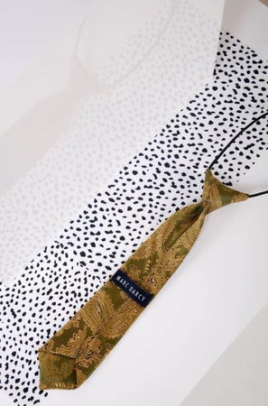 Marc Darcy- Children's Gold/Tan Paisley Print Tie