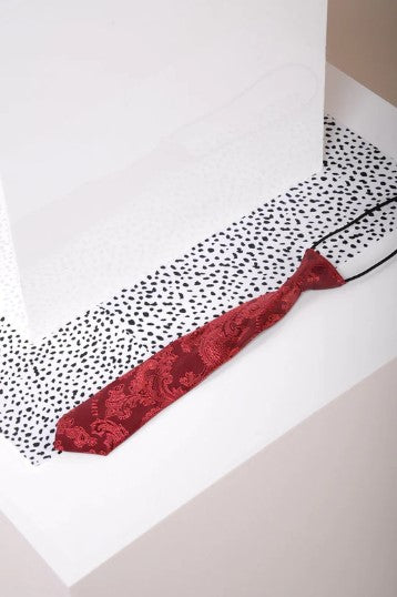 Marc Darcy- Children's Wine Paisley Print Tie
