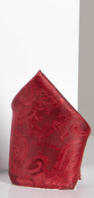 Marc Darcy- Paisley Wine Bow Tie and Pocket Square Set