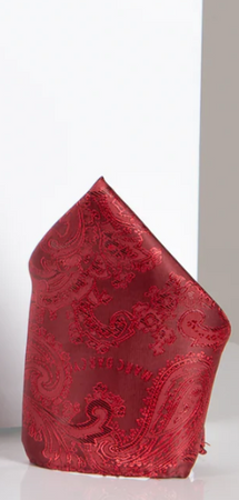 Marc Darcy- Paisley Wine Bow Tie and Pocket Square Set