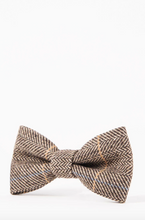 Marc Darcy- Ted Tan Tweed Bow Tie